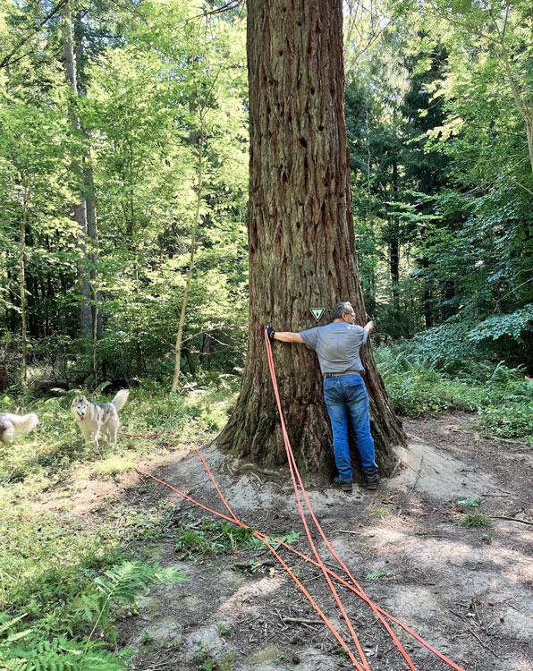 Uwe Schmitz | Freier Trauredner & Trauerredner in Bonn, Köln und NRW, Redner auf Jubiläumshochzeiten und Kinderwillkommensfesten als Treehugger
